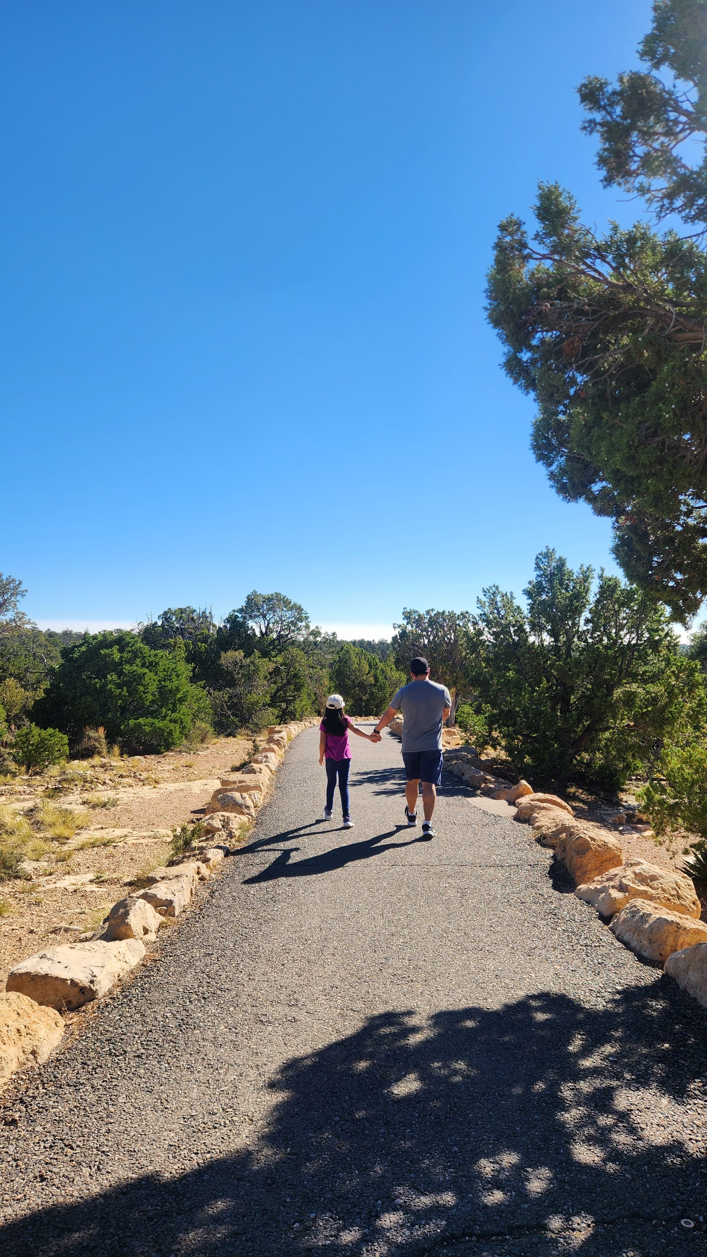  Involucrar a los hijos e hijas en actividades planificadas por sus papás, refuerza su seguridad al sentir que su participación es importante.Foto: cortesía.  